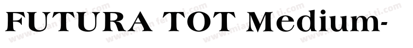 FUTURA TOT Medium字体转换
